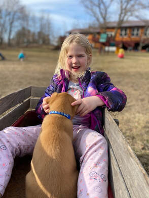 Little girl with puppy in wagon