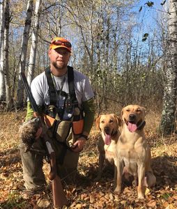 hunter with a ruffed grouse and 2 yellow labradors