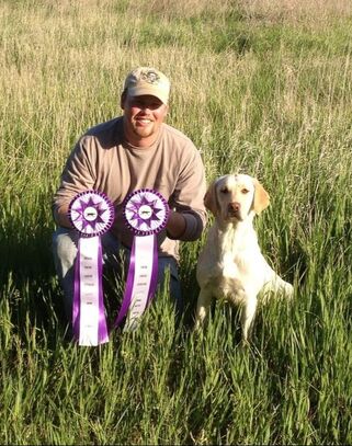 Man with two purple ribbons and a yellow lab in a grass field