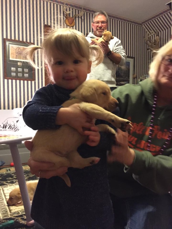 Little girl holding a puppy 
