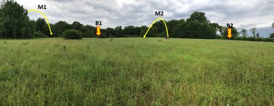 A field with locations of marked and blind retrieves
