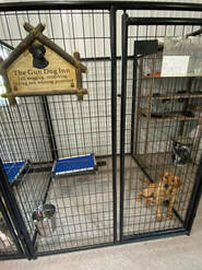 dog kennel with a dog in it
