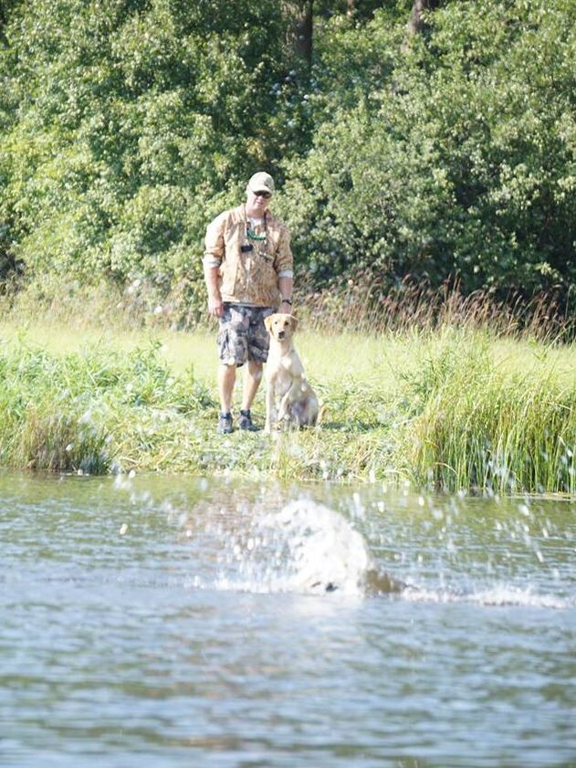 A man and a yellow lab watching a duck splash in a pond
