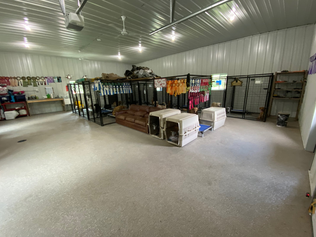 view inside kennel building