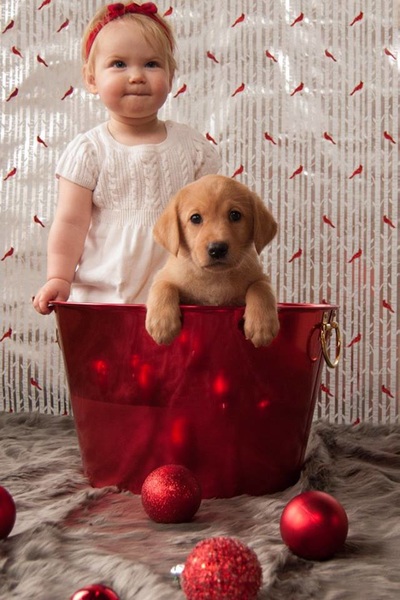 Baby and puppy in a red tub with Christmas decorations